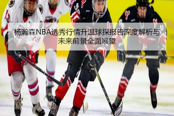 杨瀚森NBA选秀行情升温球探报告深度解析与未来前景全面展望